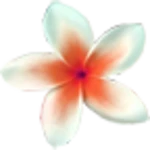 flowers wallpaper android application logo